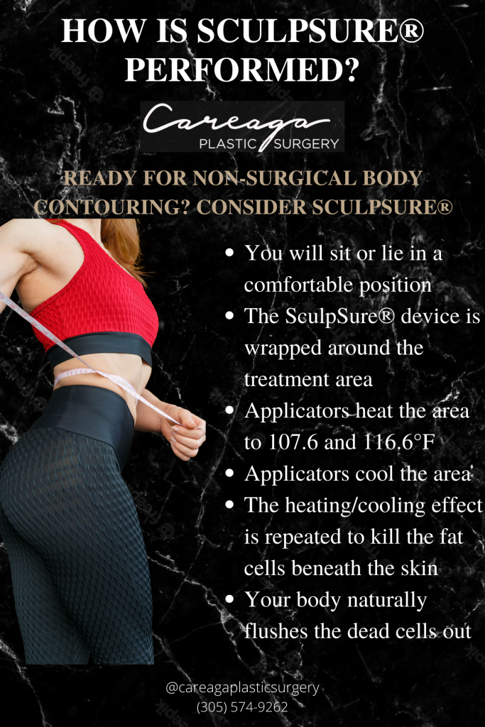 infographic with details on how the Sculpture procedure is performed